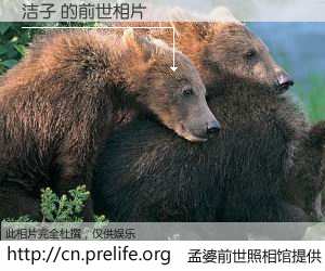 #孟婆前世照相馆# 【洁子 的前世相片】我们都曾从奈何桥上走过，喝下三碗忘川之水烹煮的孟婆汤，忘却了前尘旧事。孟婆前世照相馆，保存着你前世的数码相片。洁子 的前世相片，有图有真相：