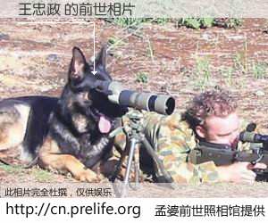 #孟婆前世照相馆# 【王忠政 的前世相片】我们都曾从奈何桥上走过，喝下三碗忘川之水烹煮的孟婆汤，忘却了前尘旧事。孟婆前世照相馆，保存着你前世的数码相片。王忠政 的前世相片，有图有真相：