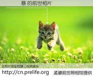 #孟婆前世照相馆# 【聖誕風暴 的前世相片】我们都曾从奈何桥上走过，喝下三碗忘川之水烹煮的孟婆汤，忘却了前尘旧事。孟婆前世照相馆，保存着你前世的数码相片。聖誕風暴 的前世相片，有图有真相：