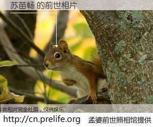 #孟婆前世照相馆# 【苏苗畅 的前世相片】我们都曾从奈何桥上走过，喝下三碗忘川之水烹煮的孟婆汤，忘却了前尘旧事。孟婆前世照相馆，保存着你前世的数码相片。苏苗畅 的前世相片，有图有真相：