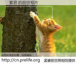 #孟婆前世照相馆# 【葉素君 的前世相片】我们都曾从奈何桥上走过，喝下三碗忘川之水烹煮的孟婆汤，忘却了前尘旧事。孟婆前世照相馆，保存着你前世的数码相片。葉素君 的前世相片，有图有真相：