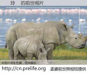 #孟婆前世照相馆# 【謝玲鮮 的前世相片】我们都曾从奈何桥上走过，喝下三碗忘川之水烹煮的孟婆汤，忘却了前尘旧事。孟婆前世照相馆，保存着你前世的数码相片。謝玲鮮 的前世相片，有图有真相：