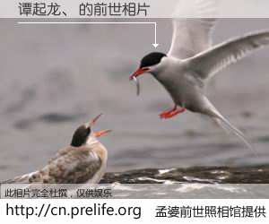 #孟婆前世照相馆# 【谭起龙、 的前世相片】我们都曾从奈何桥上走过，喝下三碗忘川之水烹煮的孟婆汤，忘却了前尘旧事。孟婆前世照相馆，保存着你前世的数码相片。谭起龙、 的前世相片，有图有真相：