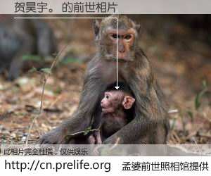 #孟婆前世照相馆# 【贺昊宇。 的前世相片】我们都曾从奈何桥上走过，喝下三碗忘川之水烹煮的孟婆汤，忘却了前尘旧事。孟婆前世照相馆，保存着你前世的数码相片。贺昊宇。 的前世相片，有图有真相：