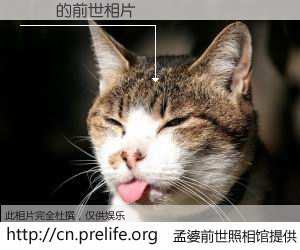 #孟婆前世照相馆# 【達賴 的前世相片】我们都曾从奈何桥上走过，喝下三碗忘川之水烹煮的孟婆汤，忘却了前尘旧事。孟婆前世照相馆，保存着你前世的数码相片。達賴 的前世相片，有图有真相：