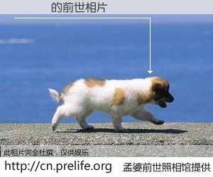 #孟婆前世照相馆# 【鄭勝濱 的前世相片】我们都曾从奈何桥上走过，喝下三碗忘川之水烹煮的孟婆汤，忘却了前尘旧事。孟婆前世照相馆，保存着你前世的数码相片。鄭勝濱 的前世相片，有图有真相：