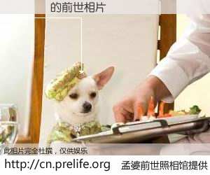 #孟婆前世照相馆# 【钂嬫稕 的前世相片】我们都曾从奈何桥上走过，喝下三碗忘川之水烹煮的孟婆汤，忘却了前尘旧事。孟婆前世照相馆，保存着你前世的数码相片。钂嬫稕 的前世相片，有图有真相：