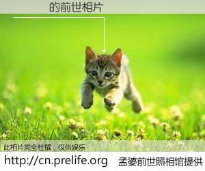 #孟婆前世照相馆# 【黃彥築 的前世相片】我们都曾从奈何桥上走过，喝下三碗忘川之水烹煮的孟婆汤，忘却了前尘旧事。孟婆前世照相馆，保存着你前世的数码相片。黃彥築 的前世相片，有图有真相：