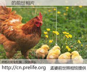#孟婆前世照相馆# 【 的前世相片】我们都曾从奈何桥上走过，喝下三碗忘川之水烹煮的孟婆汤，忘却了前尘旧事。孟婆前世照相馆，保存着你前世的数码相片。 的前世相片，有图有真相：