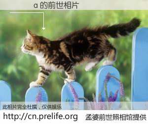 #孟婆前世照相馆# 【�馸�a 的前世相片】我们都曾从奈何桥上走过，喝下三碗忘川之水烹煮的孟婆汤，忘却了前尘旧事。孟婆前世照相馆，保存着你前世的数码相片。�馸�a 的前世相片，有图有真相：
