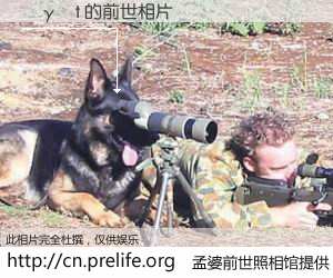 #孟婆前世照相馆# 【�γɵt 的前世相片】我们都曾从奈何桥上走过，喝下三碗忘川之水烹煮的孟婆汤，忘却了前尘旧事。孟婆前世照相馆，保存着你前世的数码相片。�γɵt 的前世相片，有图有真相：