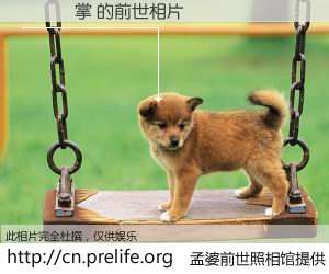 #孟婆前世照相馆# 【侞麳燊掌 的前世相片】我们都曾从奈何桥上走过，喝下三碗忘川之水烹煮的孟婆汤，忘却了前尘旧事。孟婆前世照相馆，保存着你前世的数码相片。侞麳燊掌 的前世相片，有图有真相：