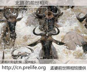 #孟婆前世照相馆# 【丱�北路 的前世相片】我们都曾从奈何桥上走过，喝下三碗忘川之水烹煮的孟婆汤，忘却了前尘旧事。孟婆前世照相馆，保存着你前世的数码相片。丱�北路 的前世相片，有图有真相：