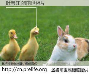 #孟婆前世照相馆# 【叶韦江 的前世相片】我们都曾从奈何桥上走过，喝下三碗忘川之水烹煮的孟婆汤，忘却了前尘旧事。孟婆前世照相馆，保存着你前世的数码相片。叶韦江 的前世相片，有图有真相：
