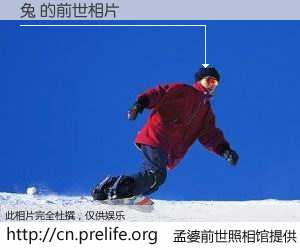 #孟婆前世照相馆# 【兔 的前世相片】我们都曾从奈何桥上走过，喝下三碗忘川之水烹煮的孟婆汤，忘却了前尘旧事。孟婆前世照相馆，保存着你前世的数码相片。兔 的前世相片，有图有真相：