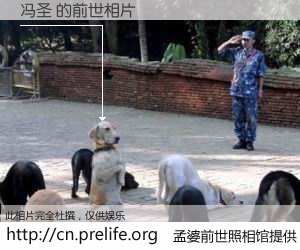 #孟婆前世照相馆# 【冯圣 的前世相片】我们都曾从奈何桥上走过，喝下三碗忘川之水烹煮的孟婆汤，忘却了前尘旧事。孟婆前世照相馆，保存着你前世的数码相片。冯圣 的前世相片，有图有真相：
