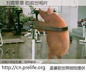 #孟婆前世照相馆# 【刘霜霏霏 的前世相片】我们都曾从奈何桥上走过，喝下三碗忘川之水烹煮的孟婆汤，忘却了前尘旧事。孟婆前世照相馆，保存着你前世的数码相片。刘霜霏霏 的前世相片，有图有真相：