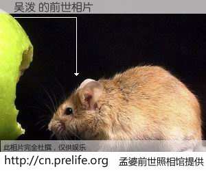 #孟婆前世照相馆# 【吴泼 的前世相片】我们都曾从奈何桥上走过，喝下三碗忘川之水烹煮的孟婆汤，忘却了前尘旧事。孟婆前世照相馆，保存着你前世的数码相片。吴泼 的前世相片，有图有真相：