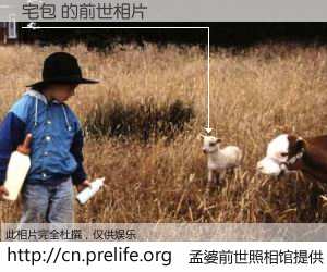 #孟婆前世照相馆# 【宅包 的前世相片】我们都曾从奈何桥上走过，喝下三碗忘川之水烹煮的孟婆汤，忘却了前尘旧事。孟婆前世照相馆，保存着你前世的数码相片。宅包 的前世相片，有图有真相：