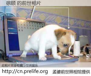 #孟婆前世照相馆# 【徐颐 的前世相片】我们都曾从奈何桥上走过，喝下三碗忘川之水烹煮的孟婆汤，忘却了前尘旧事。孟婆前世照相馆，保存着你前世的数码相片。徐颐 的前世相片，有图有真相：