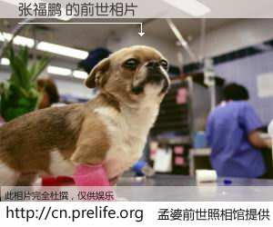 #孟婆前世照相馆# 【张福鹏 的前世相片】我们都曾从奈何桥上走过，喝下三碗忘川之水烹煮的孟婆汤，忘却了前尘旧事。孟婆前世照相馆，保存着你前世的数码相片。张福鹏 的前世相片，有图有真相：