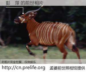 #孟婆前世照相馆# 【彭蘊萍 的前世相片】我们都曾从奈何桥上走过，喝下三碗忘川之水烹煮的孟婆汤，忘却了前尘旧事。孟婆前世照相馆，保存着你前世的数码相片。彭蘊萍 的前世相片，有图有真相：