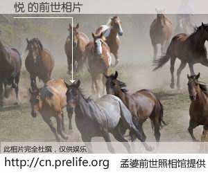 #孟婆前世照相馆# 【悦 的前世相片】我们都曾从奈何桥上走过，喝下三碗忘川之水烹煮的孟婆汤，忘却了前尘旧事。孟婆前世照相馆，保存着你前世的数码相片。悦 的前世相片，有图有真相：