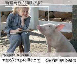 #孟婆前世照相馆# 【新疆驾驭 的前世相片】我们都曾从奈何桥上走过，喝下三碗忘川之水烹煮的孟婆汤，忘却了前尘旧事。孟婆前世照相馆，保存着你前世的数码相片。新疆驾驭 的前世相片，有图有真相：