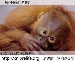 #孟婆前世照相馆# 【晟 的前世相片】我们都曾从奈何桥上走过，喝下三碗忘川之水烹煮的孟婆汤，忘却了前尘旧事。孟婆前世照相馆，保存着你前世的数码相片。晟 的前世相片，有图有真相：