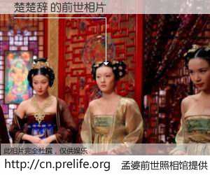 #孟婆前世照相馆# 【楚楚辞 的前世相片】我们都曾从奈何桥上走过，喝下三碗忘川之水烹煮的孟婆汤，忘却了前尘旧事。孟婆前世照相馆，保存着你前世的数码相片。楚楚辞 的前世相片，有图有真相：