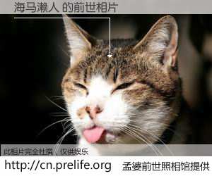 #孟婆前世照相馆# 【海马濑人 的前世相片】我们都曾从奈何桥上走过，喝下三碗忘川之水烹煮的孟婆汤，忘却了前尘旧事。孟婆前世照相馆，保存着你前世的数码相片。海马濑人 的前世相片，有图有真相：