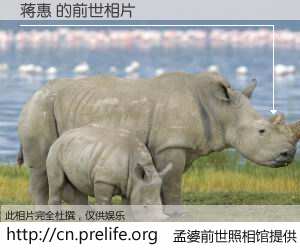 #孟婆前世照相馆# 【蒋惠 的前世相片】我们都曾从奈何桥上走过，喝下三碗忘川之水烹煮的孟婆汤，忘却了前尘旧事。孟婆前世照相馆，保存着你前世的数码相片。蒋惠 的前世相片，有图有真相：