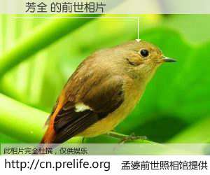 #孟婆前世照相馆# 【蘇芳全 的前世相片】我们都曾从奈何桥上走过，喝下三碗忘川之水烹煮的孟婆汤，忘却了前尘旧事。孟婆前世照相馆，保存着你前世的数码相片。蘇芳全 的前世相片，有图有真相：