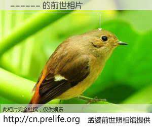 #孟婆前世照相馆# 【------ 的前世相片】我们都曾从奈何桥上走过，喝下三碗忘川之水烹煮的孟婆汤，忘却了前尘旧事。孟婆前世照相馆，保存着你前世的数码相片。------ 的前世相片，有图有真相：