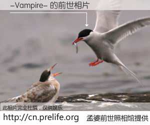 #孟婆前世照相馆# 【-Vampire- 的前世相片】我们都曾从奈何桥上走过，喝下三碗忘川之水烹煮的孟婆汤，忘却了前尘旧事。孟婆前世照相馆，保存着你前世的数码相片。-Vampire- 的前世相片，有图有真相：