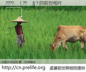 #孟婆前世照相馆# 【????��??��? 的前世相片】我们都曾从奈何桥上走过，喝下三碗忘川之水烹煮的孟婆汤，忘却了前尘旧事。孟婆前世照相馆，保存着你前世的数码相片。????��??��? 的前世相片，有图有真相：