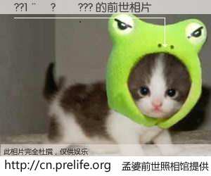 #孟婆前世照相馆# 【??1��?��??? 的前世相片】我们都曾从奈何桥上走过，喝下三碗忘川之水烹煮的孟婆汤，忘却了前尘旧事。孟婆前世照相馆，保存着你前世的数码相片。??1��?��??? 的前世相片，有图有真相：