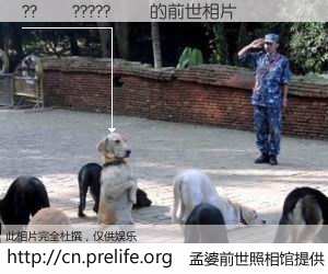 #孟婆前世照相馆# 【??��?????�� 的前世相片】我们都曾从奈何桥上走过，喝下三碗忘川之水烹煮的孟婆汤，忘却了前尘旧事。孟婆前世照相馆，保存着你前世的数码相片。??��?????�� 的前世相片，有图有真相：