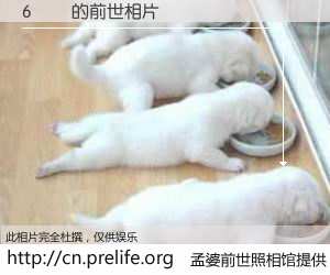 #孟婆前世照相馆# 【6붕별 的前世相片】我们都曾从奈何桥上走过，喝下三碗忘川之水烹煮的孟婆汤，忘却了前尘旧事。孟婆前世照相馆，保存着你前世的数码相片。6붕별 的前世相片，有图有真相：