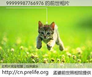 #孟婆前世照相馆# 【99999987766976 的前世相片】我们都曾从奈何桥上走过，喝下三碗忘川之水烹煮的孟婆汤，忘却了前尘旧事。孟婆前世照相馆，保存着你前世的数码相片。99999987766976 的前世相片，有图有真相：