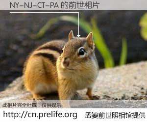 #孟婆前世照相馆# 【NY-NJ-CT-PA 的前世相片】我们都曾从奈何桥上走过，喝下三碗忘川之水烹煮的孟婆汤，忘却了前尘旧事。孟婆前世照相馆，保存着你前世的数码相片。NY-NJ-CT-PA 的前世相片，有图有真相：