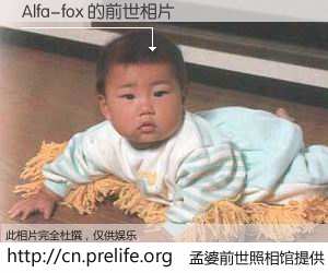 #孟婆前世照相馆# 【Alfa-fox 的前世相片】我们都曾从奈何桥上走过,喝下三碗忘川之水烹煮的孟婆汤,忘却了前尘旧事。孟婆前世照相馆,保存着你前世的数码相片。Alfa-fox 的前世相片,有图有真相: