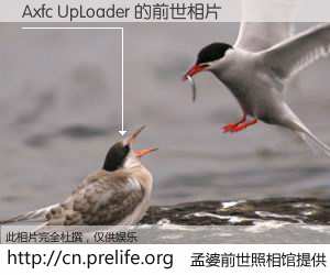 #孟婆前世照相馆# 【Axfc UpLoader 的前世相片】我们都曾从奈何桥上走过，喝下三碗忘川之水烹煮的孟婆汤，忘却了前尘旧事。孟婆前世照相馆，保存着你前世的数码相片。Axfc UpLoader 的前世相片，有图有真相：