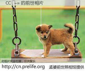 #孟婆前世照相馆# 【CC . -= 的前世相片】我们都曾从奈何桥上走过，喝下三碗忘川之水烹煮的孟婆汤，忘却了前尘旧事。孟婆前世照相馆，保存着你前世的数码相片。CC . -= 的前世相片，有图有真相：