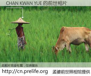 #孟婆前世照相馆# 【CHAN KWAN YUE 的前世相片】我们都曾从奈何桥上走过，喝下三碗忘川之水烹煮的孟婆汤，忘却了前尘旧事。孟婆前世照相馆，保存着你前世的数码相片。CHAN KWAN YUE 的前世相片，有图有真相：