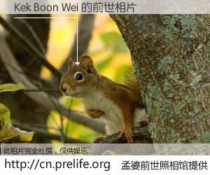 #孟婆前世照相馆# 【Kek Boon Wei 的前世相片】我们都曾从奈何桥上走过，喝下三碗忘川之水烹煮的孟婆汤，忘却了前尘旧事。孟婆前世照相馆，保存着你前世的数码相片。Kek Boon Wei 的前世相片，有图有真相：