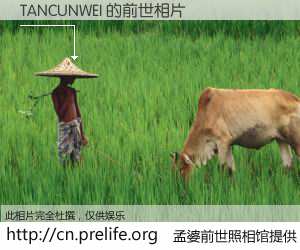 #孟婆前世照相馆# 【TANCUNWEI 的前世相片】我们都曾从奈何桥上走过，喝下三碗忘川之水烹煮的孟婆汤，忘却了前尘旧事。孟婆前世照相馆，保存着你前世的数码相片。TANCUNWEI 的前世相片，有图有真相：