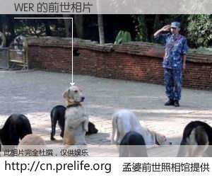 #孟婆前世照相馆# 【WER 的前世相片】我们都曾从奈何桥上走过，喝下三碗忘川之水烹煮的孟婆汤，忘却了前尘旧事。孟婆前世照相馆，保存着你前世的数码相片。WER 的前世相片，有图有真相：