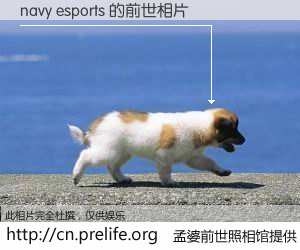 #孟婆前世照相馆# 【navy esports 的前世相片】我们都曾从奈何桥上走过，喝下三碗忘川之水烹煮的孟婆汤，忘却了前尘旧事。孟婆前世照相馆，保存着你前世的数码相片。navy esports 的前世相片，有图有真相：