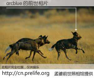 #孟婆前世照相馆# 【arcblue 的前世相片】我们都曾从奈何桥上走过，喝下三碗忘川之水烹煮的孟婆汤，忘却了前尘旧事。孟婆前世照相馆，保存着你前世的数码相片。arcblue 的前世相片，有图有真相：